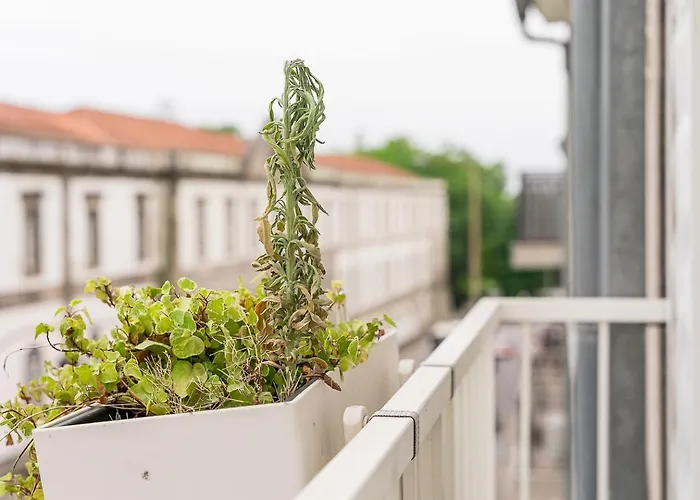 Guestready - Dome Penthouse In The City Centre